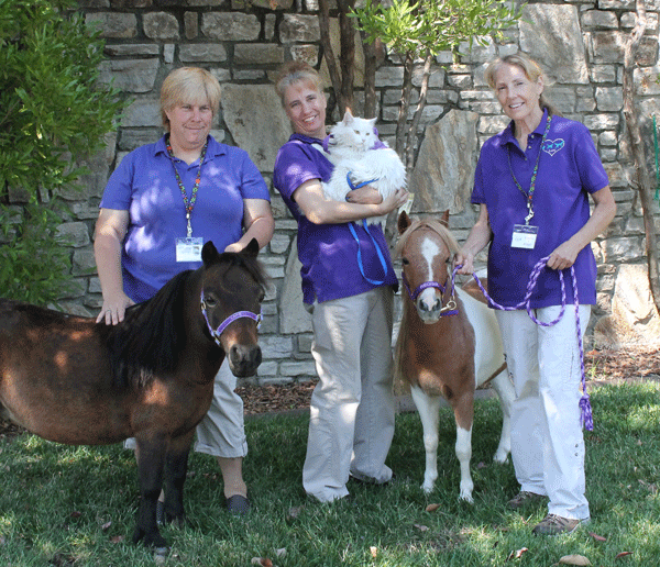 Two mini hooves teams and a cat team pose outside a facility. 