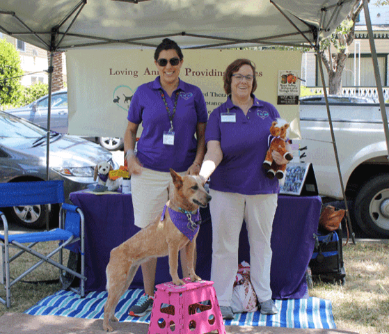 Two LAPS volunteers stand in front of our booth at an outdoor event.
